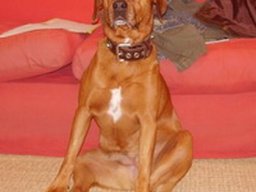boxweiler_2_20211129_1822107444